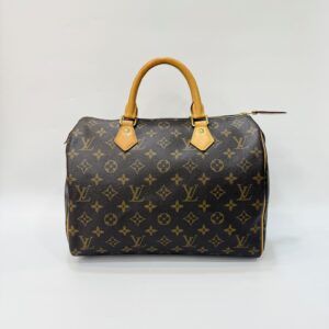 Louis Vuitton Speedy 30 Monogram